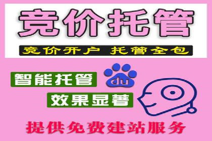 竞价SEM在B2B行业中的营销策略及效果分析